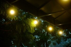 Outdoor Wall Lighting: The Ultimate Guide to Safety, Style, and Security