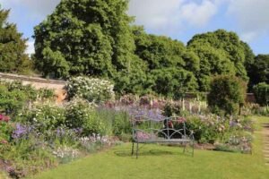 Why Eastbourne Gardens Care Home Stands Out in East Sussex